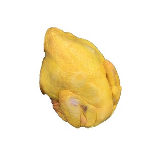 急凍三黃雞 約1500g  